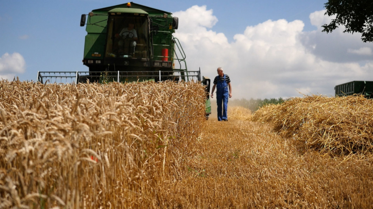 Akteure der Wertschöpfung: Landwirt