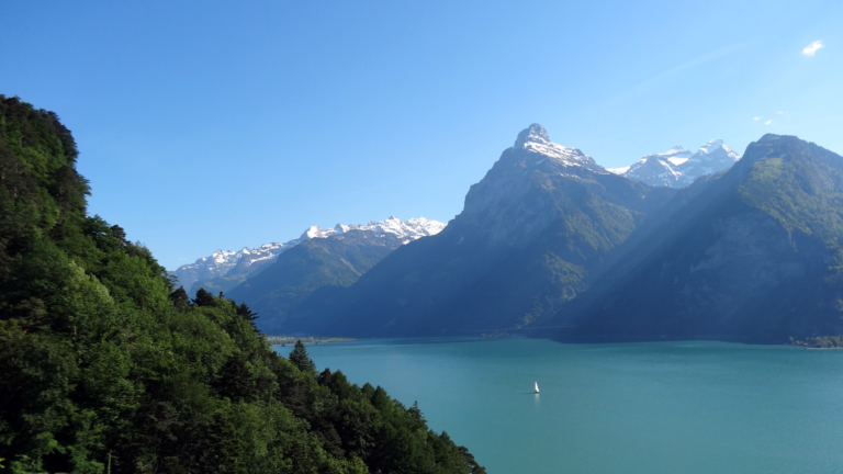 Kantonsbrote der Zentralschweiz