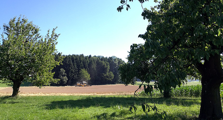 Ackerbau