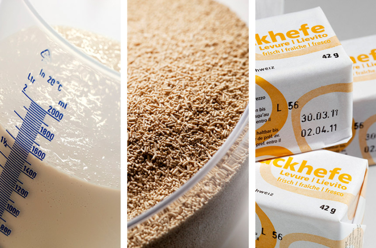 Hefe, Sauerteig und Co. – Die unterschiedlichen Triebmittel - Schweizer ...