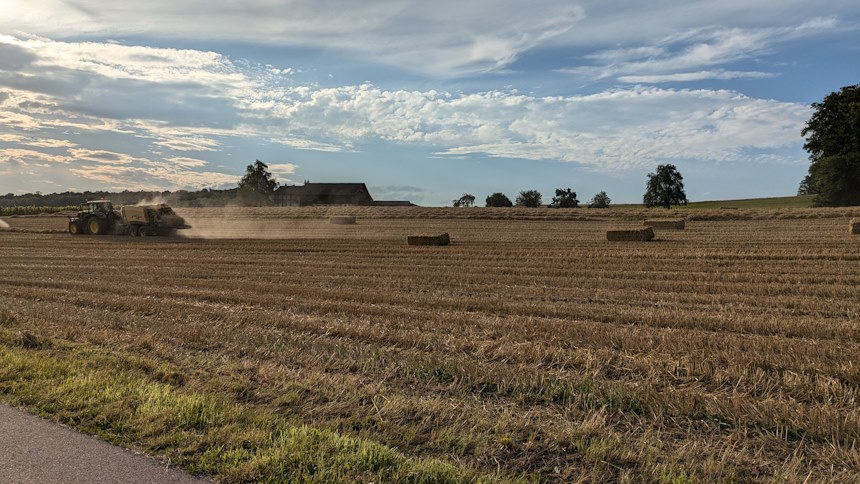 Ernte auf dem Weizenfeld