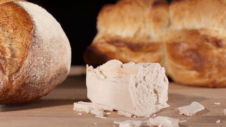 Hefe: Die stille Heldin im Brotteig