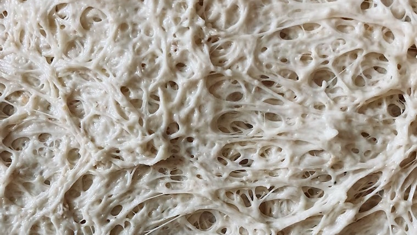 Nahaufnahme Sauerteig