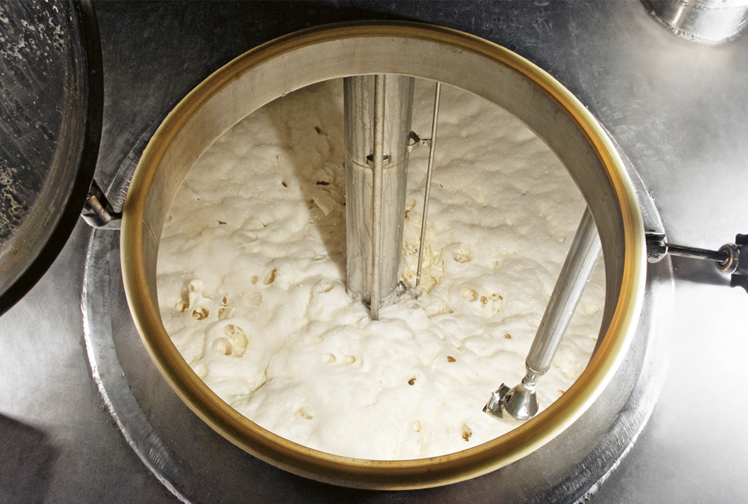 Fermentation
